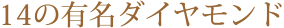 14�̗L���_�C�������h