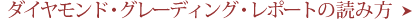 �_�C�������h�E�O���[�f�B���O�E���|�[�g�̓ǂݕ�