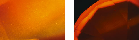 写真2　拡大検査で観察される小さな気泡（左）と波状成長模様（右）
