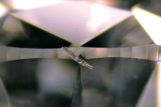 Fig.4 CVD合成ダイヤモンドのクリベージに見られた黒色グラファイト化。(拡大35×)