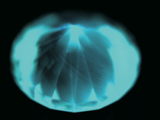 Fig.10 Diamond ViewTMによる蛍光像6個すべてにCVD合成ダイヤモンドに特有の積層構造が確認された。また、ホウ素に起因すると思われる青色の燐光も認められた。
