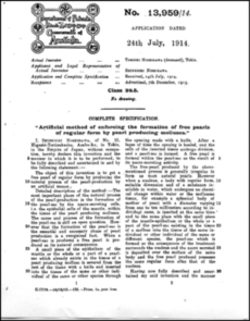 写真３：西川のオーストラリア特許