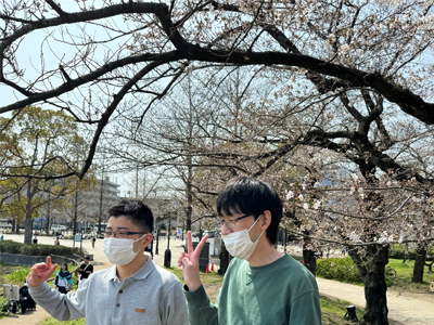 大きな桜の枝の下で