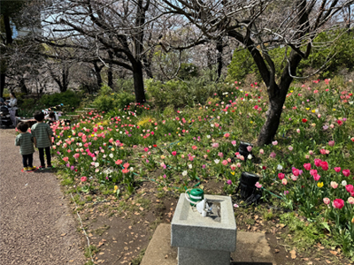 桜浮間公園の様子（１）