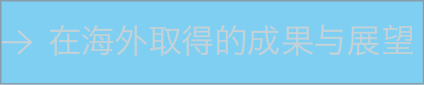 在海外取得的成果与展望