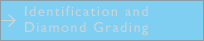 Identification and Diamond Grading