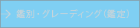 鑑別・グレーディング（鑑定）