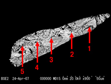 図1-1　インクルージョンの後方散乱電子像（BEI）と測定箇所