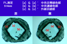 写真10　PL測定位置