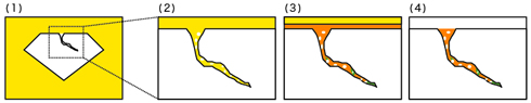 図3