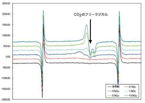 図１：ガンマ線照射前後の真珠のESRスペクトル