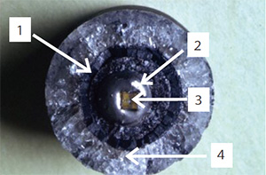 図11：ダイヤの成長した様子