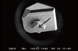 図12：種結晶の上に成長したダイヤモンド結晶