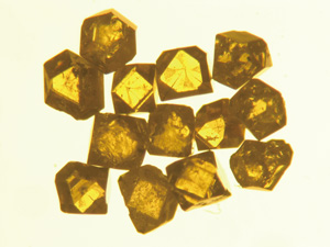 図３ 高圧合成ダイヤモンド。 {111}面と{100}面からなる。