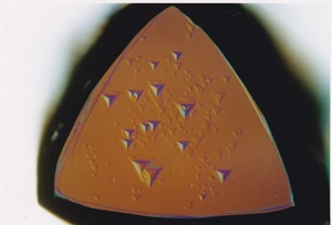 図４ (a)トライゴンが見られる天然ダイヤモンド表面。