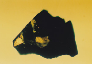 図8　成長中に温度が変動して形成された不規則な形状のダイヤモンド。黄色と濃青色の2色からなる。