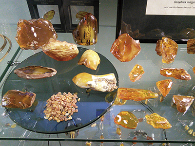 「Amber Museum」内の展示。見事なこはくが数多く展示されていた。