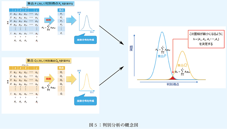 図５：判別分析の概念図