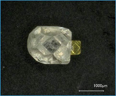 Fig.11–b 三大巨頭のB社(b)の結晶原石。B社の原石には黄色い種結晶が付着。