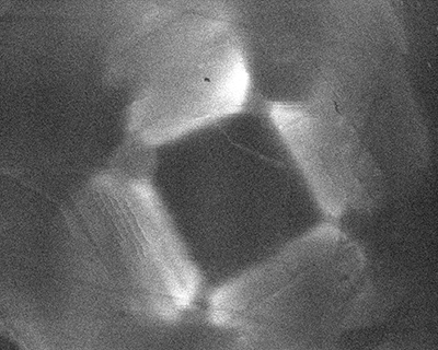 図１５：カソードルミネッセンスに因る蛍光像ではHPHT合成特有の分域構造が確認された。