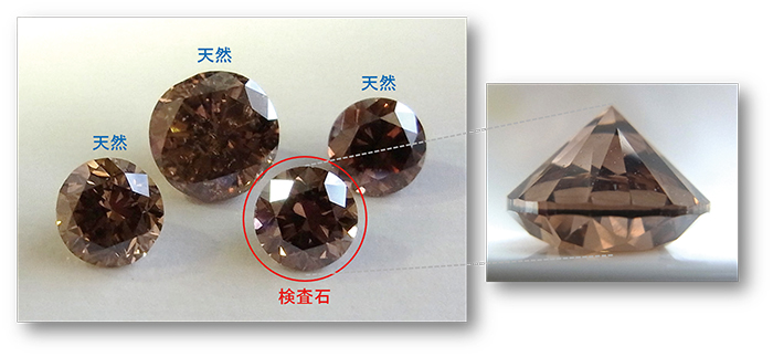 図１：天然と同様の色調を示す褐色のCVD合成ダイヤモンド（赤丸検査石）。1.027ct, Fancy Dark Brown,VS1