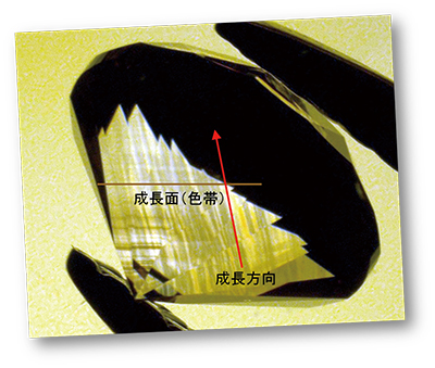 CGL通信 | 中央宝石研究所（CGL）