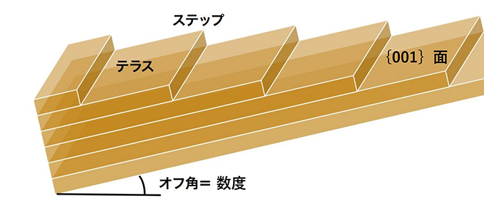 図20． CVD法合成ダイヤモンドのステップフロー成長の概念図