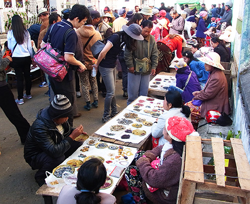 写真-8：外国人バイヤーで賑わう宝石マーケット（モゴック／ミャンマー）