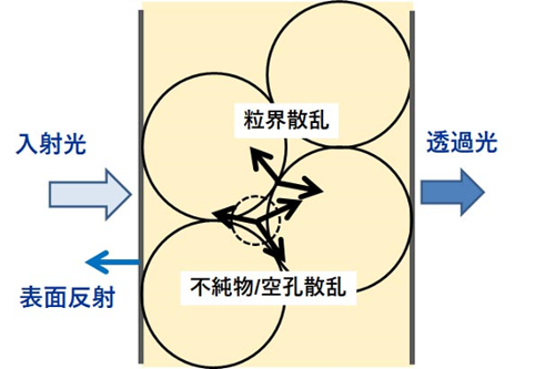 図２.セラミックス（多結晶鉱物）内部における光の透過と散乱の概念図。焼結度が高く、不純物や空孔がないセラミックスは、光学的な等方体である立方晶系の結晶からなる場合には、内部での光の散乱がないため高い透光性を示す透明セラミックスになる。