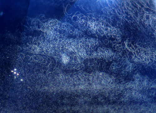 写真–89：Be拡散加熱ブルー･サファイアに見られるサークル状インクルージョン