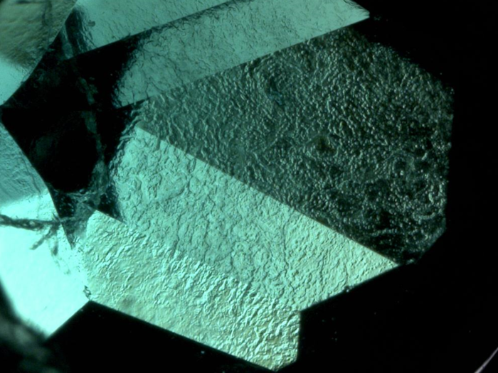 図8 コロンビアのエメラルドに見られるGota de Aceite。六角形の形が見えないタイプ。視野4.0 mm。