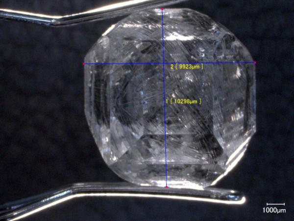 Fig.2:検査した33個の結晶の中で最大のもの (7.495ct)