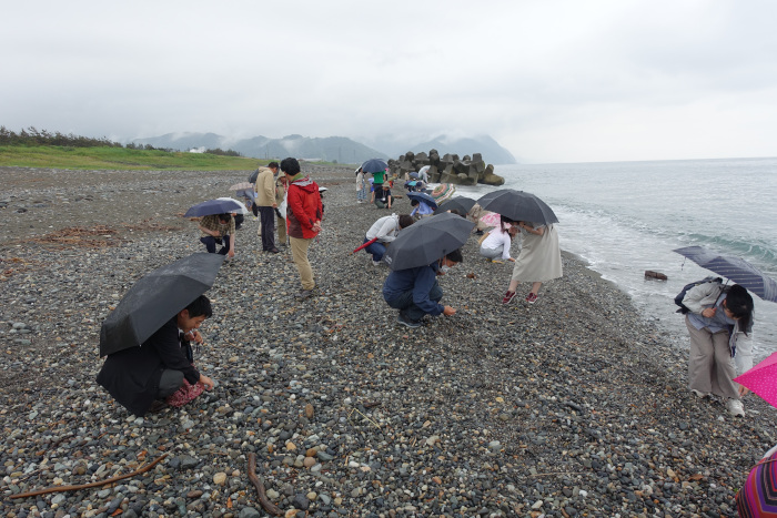須沢海岸でヒスイ探しを行う見学会参加者達