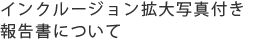 インクルージョン拡大写真付き報告書について